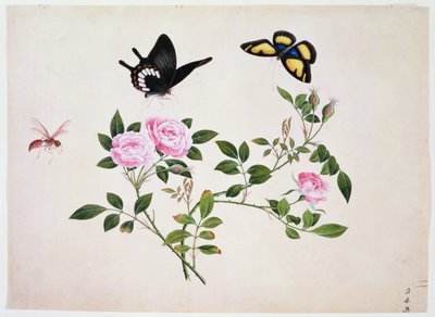 Roses in Bud and Bloom with Butterflies and Insects by Chinese School